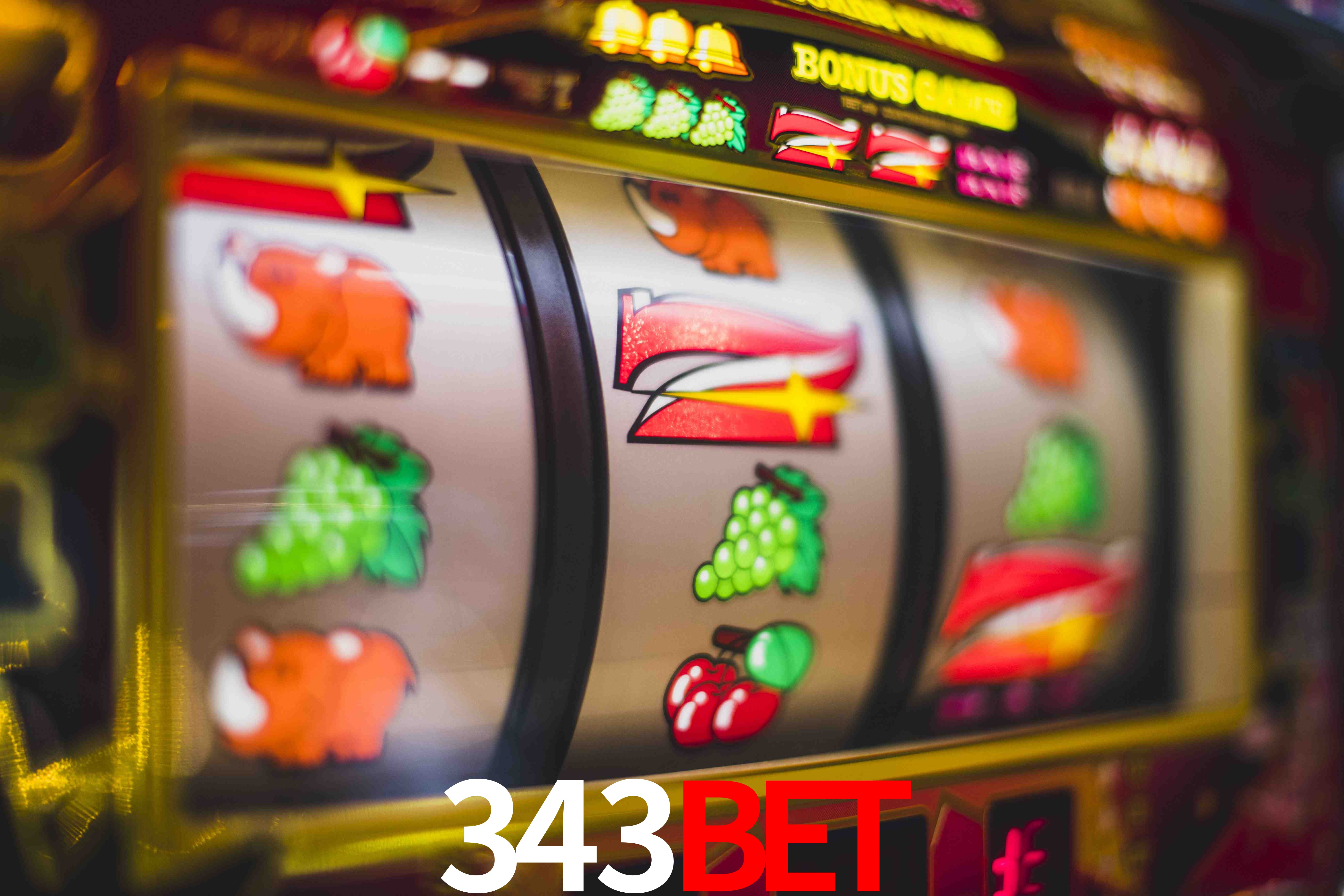 Sports Statistics 343bet